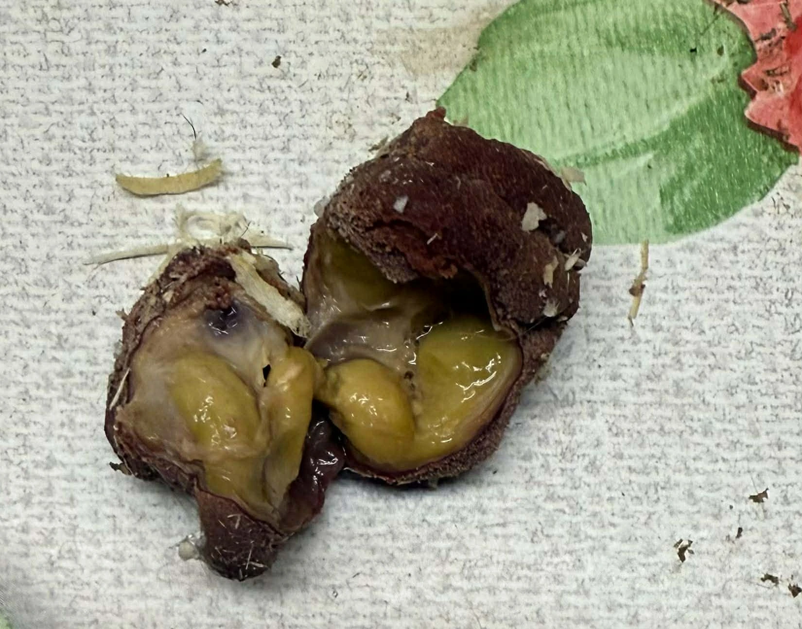 Fotografi: Ziita Eriksson