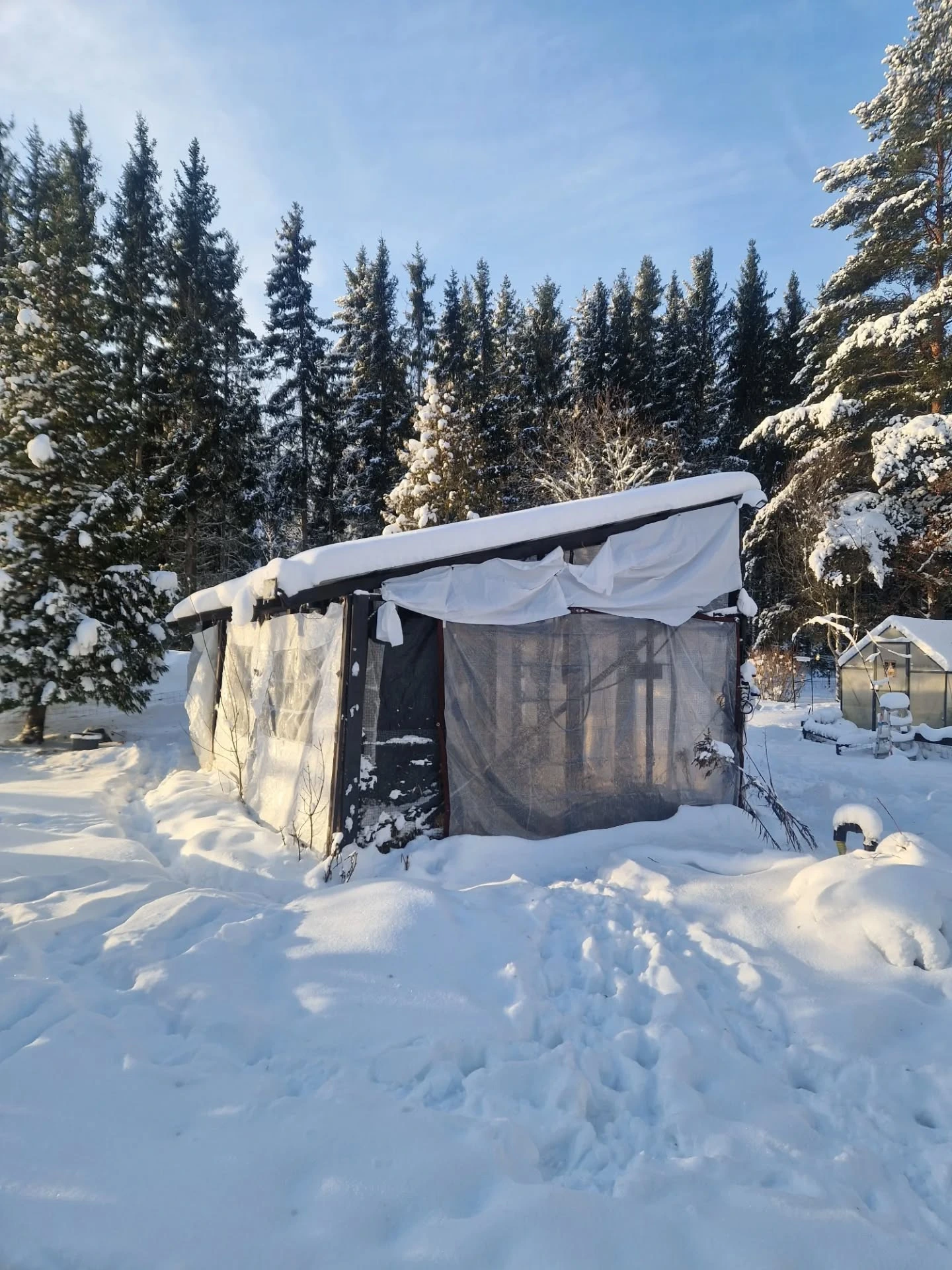 ankgård ny