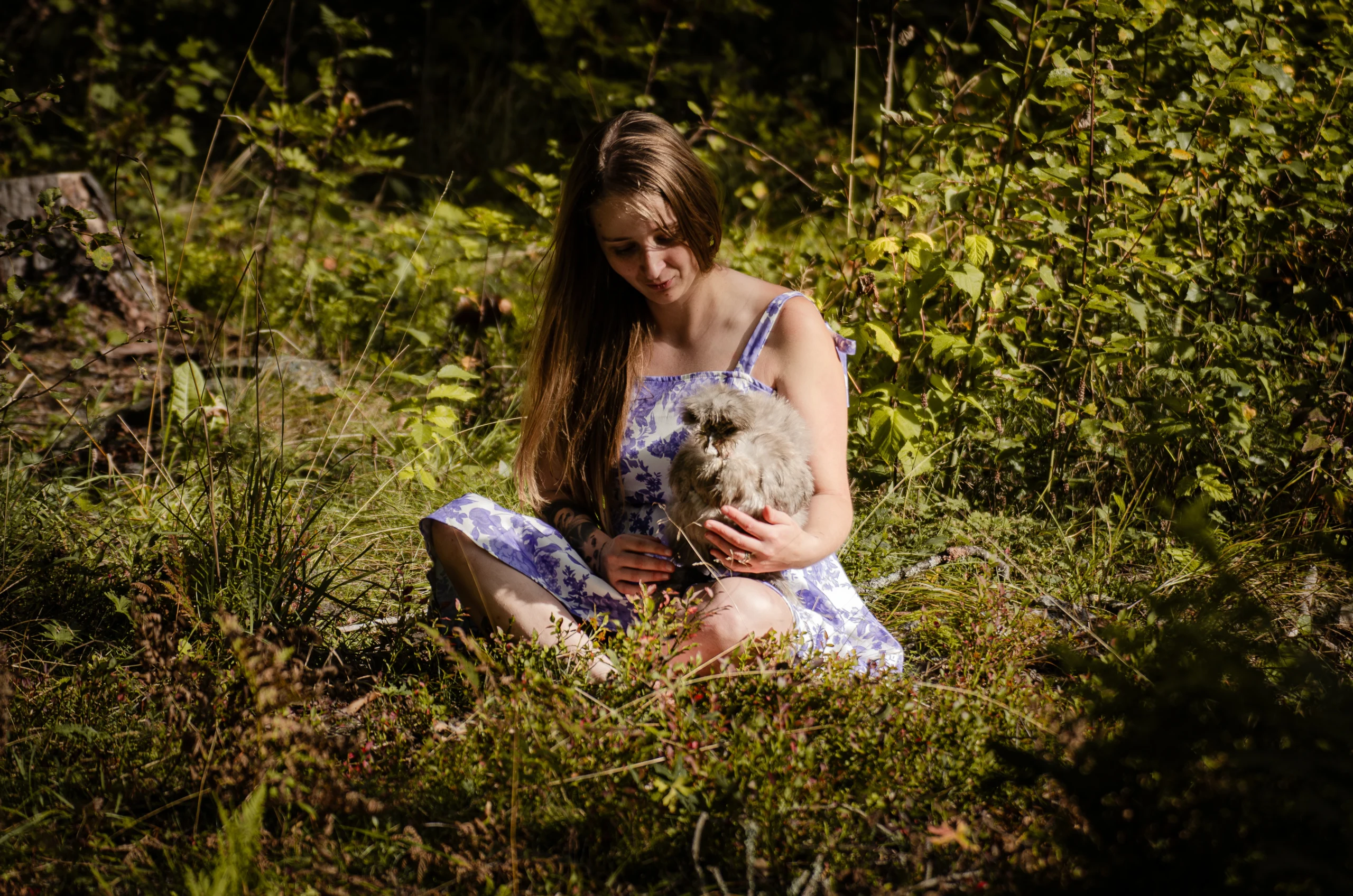 mina tankar fettlever