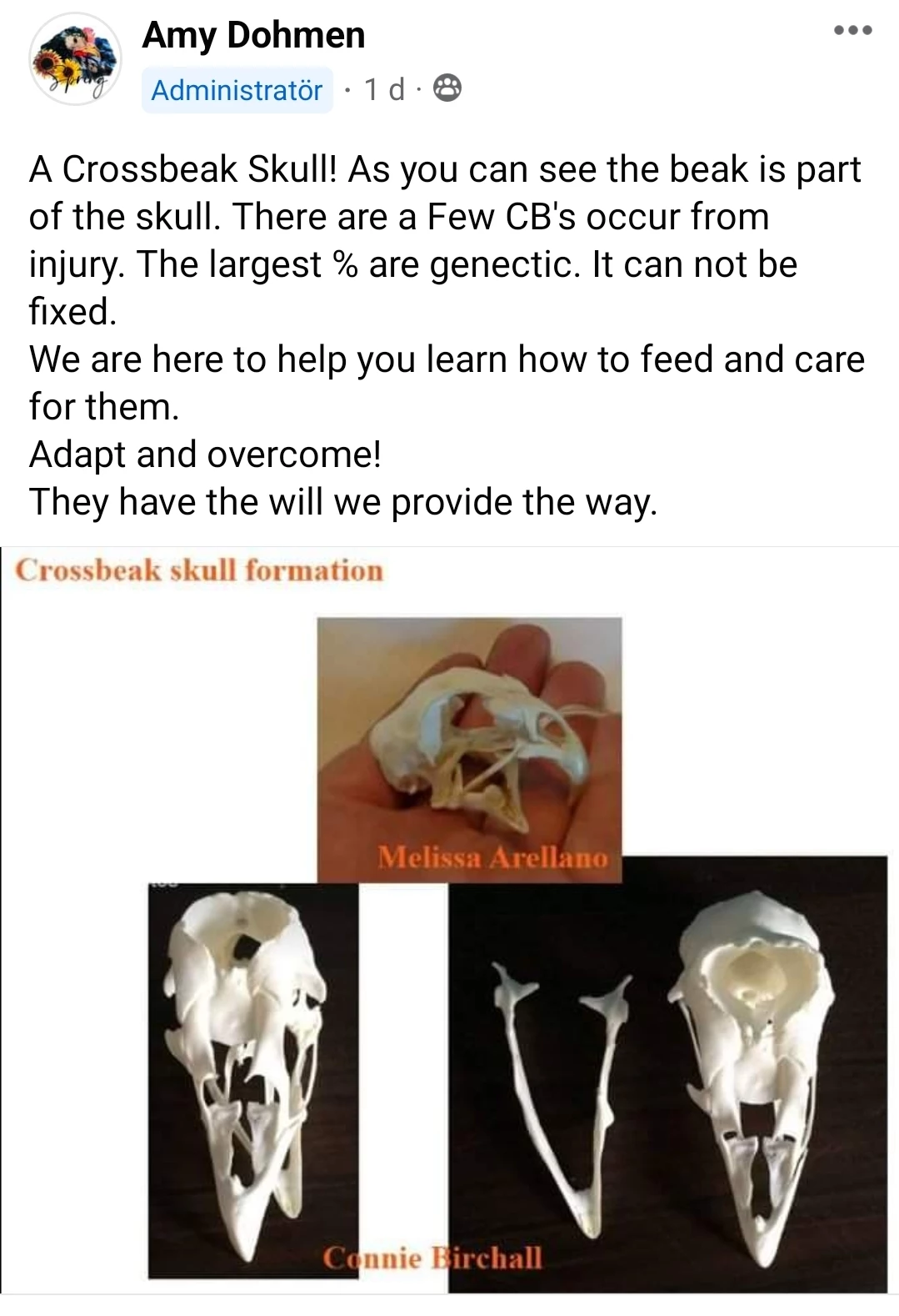 Credit: Facebook group "Crossbeaks Poultry in motion"