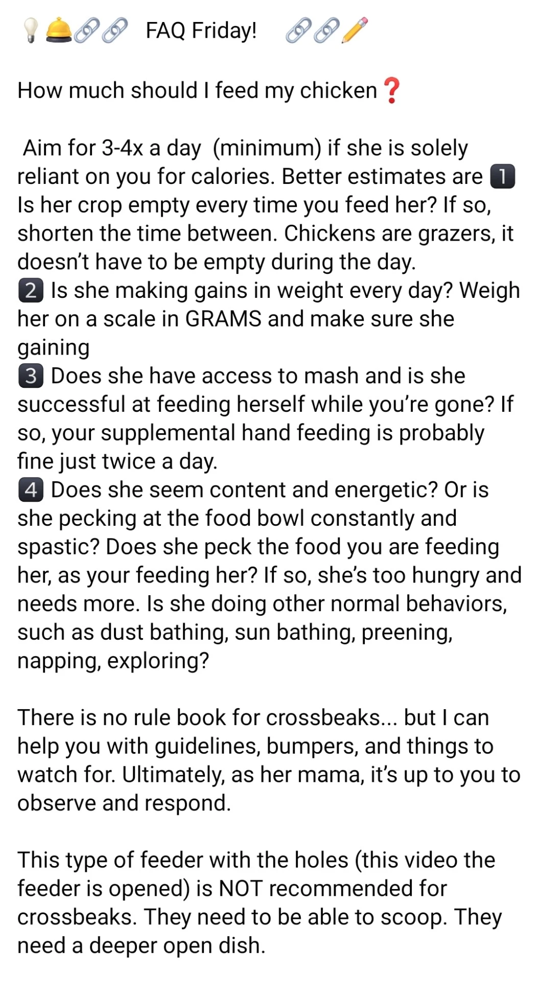 Crossbeak poultry in motion