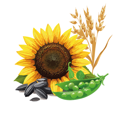 niacinbrist gäss ankor