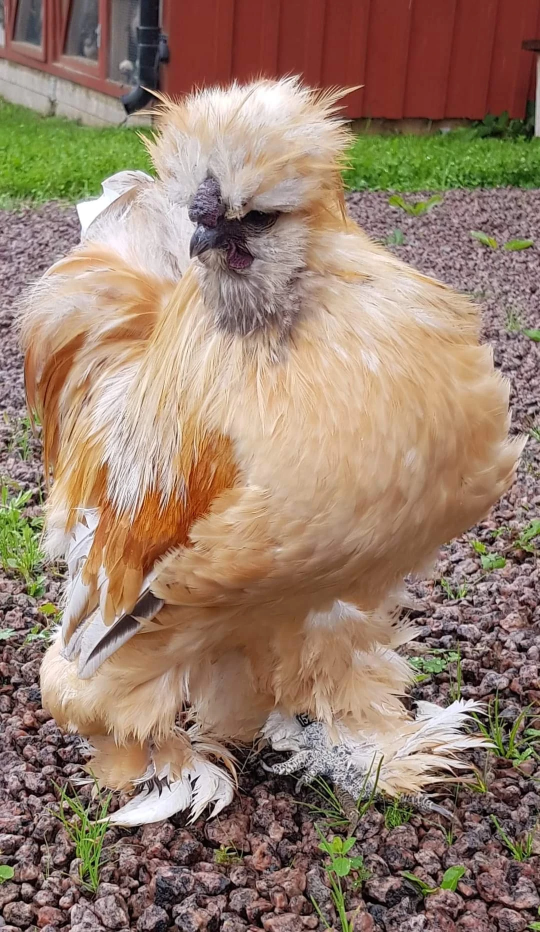 FB_IMG_1699096574761-86 FB_IMG_1699096574761-86