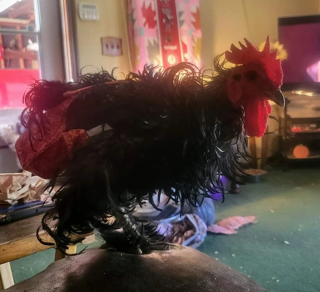 FB_IMG_1699103526318-1-38 FB_IMG_1699103526318-1-38