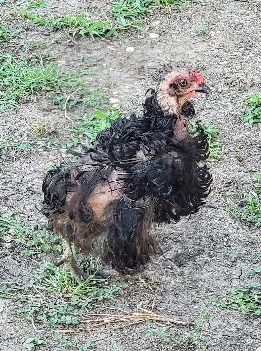 FB_IMG_1699105577742-1 FB_IMG_1699105577742-1